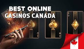 Discover the Best Online Casinos A Comprehensive Guide -199676667 Discover the Best Online Casinos A Comprehensive Guide -199676667