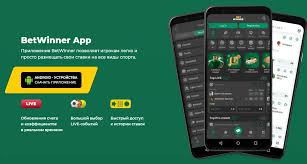 Discover the Exciting World of BetWinner